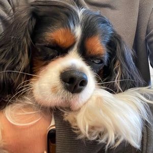 Meet your Posher, Aimee